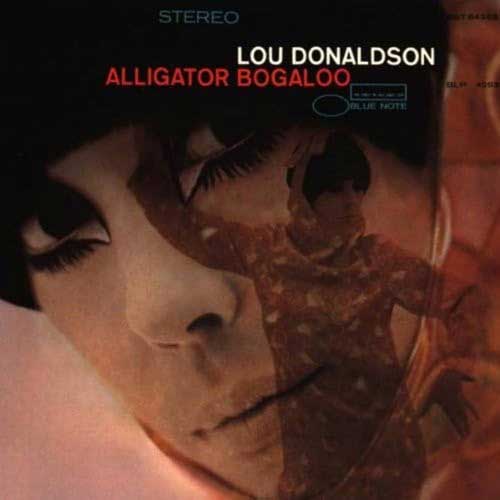 Alligator_Bogaloo